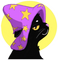 WIZCATS