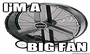 BigFan