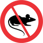 No Rats