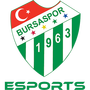 Bursaspor