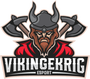 Vikingekrig