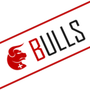 SwissBulls