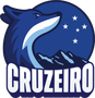 Cruzeiro FEM