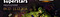 Esport Superstar